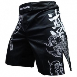 Шорты Hardcore Training hctshorts032, фото 1