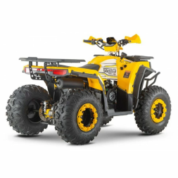 Квадроцикл WELS ATV Thunder Trail 200, фото 6 Квадроцикл WELS ATV Thunder Trail 200, фото 6
