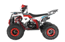 Квадроцикл WELS Thunder EVO X ST, фото 6 Квадроцикл WELS Thunder EVO X ST, фото 6