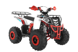 Квадроцикл WELS Thunder EVO X ST, фото 2 Квадроцикл WELS Thunder EVO X ST, фото 2