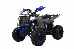 Квадроцикл WELS Thunder EVO X ST, фото 1 Квадроцикл WELS Thunder EVO X ST, фото 1