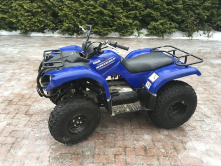 Квадроцикл GRIZZLY 125, фото 9