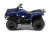 Квадроцикл GRIZZLY 125