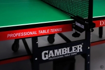 Теннисный стол Dragon Зелёный