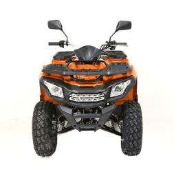 Квадроцикл LONCIN 200 Dominator, фото 2