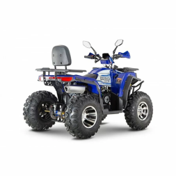 Квадроцикл WELS ATV Thunder Trail 200 Pro, фото 6 Квадроцикл WELS ATV Thunder Trail 200 Pro, фото 6