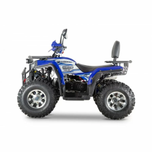 Квадроцикл WELS ATV Thunder Trail 200 Pro