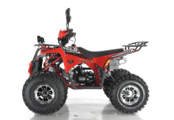 Квадроцикл WELS Thunder EVO X, фото 4 Квадроцикл WELS Thunder EVO X, фото 4