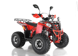 Квадроцикл WELS Thunder EVO X, фото 2 Квадроцикл WELS Thunder EVO X, фото 2