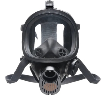 Панорамная маска ДОТ ППМ-88, рост 2, размер С, 302-123-0011 302-123-0005