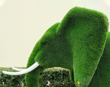 Топиари слон Марти - газон Deluxe Топиари слон Марти - газон Deluxe