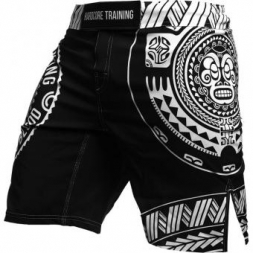 Шорты Hardcore Training hctshorts046, фото 1