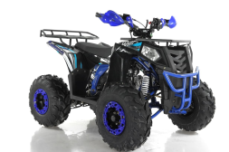 Квадроцикл WELS Thunder EVO, фото 5 Квадроцикл WELS Thunder EVO, фото 5