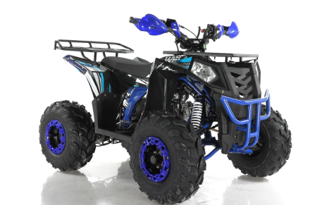 Квадроцикл WELS Thunder EVO, фото 5