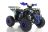 Квадроцикл WELS Thunder EVO