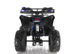 Квадроцикл WELS Thunder EVO, фото 3 Квадроцикл WELS Thunder EVO, фото 3