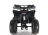 Квадроцикл WELS Thunder EVO