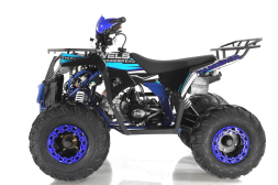 Квадроцикл WELS Thunder EVO, фото 2 Квадроцикл WELS Thunder EVO, фото 2