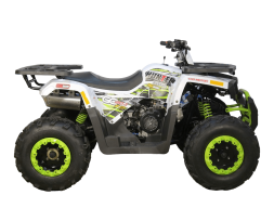 Квадроцикл AVANTIS H200 NEW (Баланс. вал), фото 3