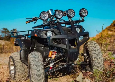 Квадроцикл TIGER Sport 250 (2024), фото 11