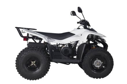 Квадроцикл BALTMOTORS Jam 100, фото 5