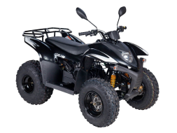 Квадроцикл BALTMOTORS Jam 100, фото 1