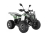 Квадроцикл WELS Thunder EVO LUX X 125
