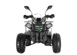 Квадроцикл WELS Thunder EVO LUX X 125, фото 10