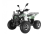 Квадроцикл WELS Thunder EVO LUX X 125