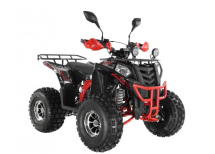 Квадроцикл WELS Thunder EVO LUX X 125