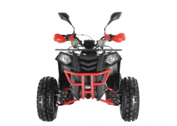 Квадроцикл WELS Thunder EVO LUX X 125, фото 7