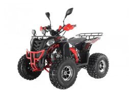 Квадроцикл WELS Thunder EVO LUX X 125, фото 6