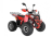 Квадроцикл WELS Thunder EVO LUX X 125