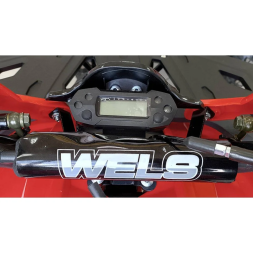 Квадроцикл WELS ATV Trail 125 Pro (алюм. диски), фото 5 Квадроцикл WELS ATV Trail 125 Pro (алюм. диски), фото 5