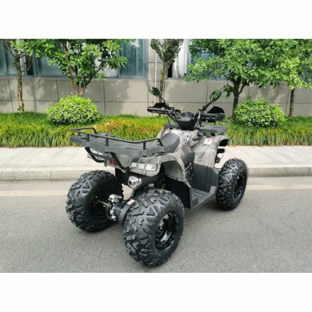 Квадроцикл MOTAX ATV Grizlik T200 Lux, фото 4
