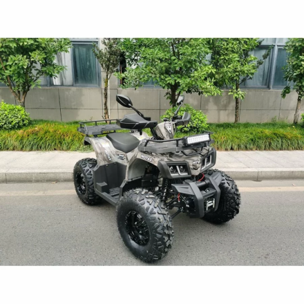 Квадроцикл MOTAX ATV Grizlik T200 Lux, фото 2