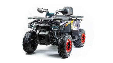 Квадроцикл MOTOLAND 200 Wild Track X Pro (2022), фото 3