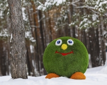 Топиари смайлик В шляпе - газон Premium Топиари смайлик В шляпе - газон Premium