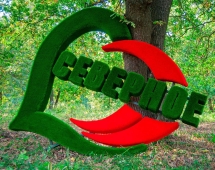Топиари стела Город в сердце, h=330 см - газон Eco