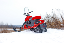 Снегоход IRBIS DINGO T150, фото 8