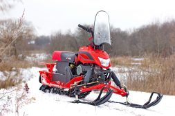 Снегоход IRBIS DINGO T150, фото 6