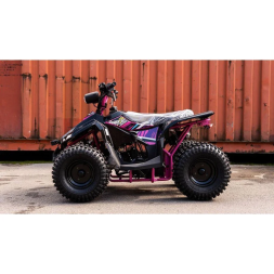 Квадроцикл WELS ATV Tukah 110, фото 7 Квадроцикл WELS ATV Tukah 110, фото 7