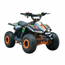 Квадроцикл WELS ATV Tukah 110