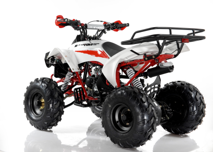 Квадроцикл MOTAX ATV Raptor Super LUX 125 cc, фото 16