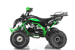 Квадроцикл MOTAX ATV Raptor Super LUX 125 cc, фото 13 Квадроцикл MOTAX ATV Raptor Super LUX 125 cc, фото 13
