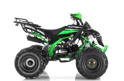 Квадроцикл MOTAX ATV Raptor Super LUX 125 cc, фото 11 Квадроцикл MOTAX ATV Raptor Super LUX 125 cc, фото 11