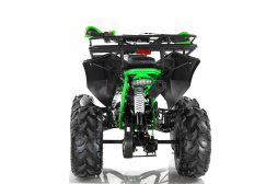 Квадроцикл MOTAX ATV Raptor Super LUX 125 cc, фото 9 Квадроцикл MOTAX ATV Raptor Super LUX 125 cc, фото 9