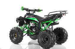 Квадроцикл MOTAX ATV Raptor Super LUX 125 cc, фото 8 Квадроцикл MOTAX ATV Raptor Super LUX 125 cc, фото 8