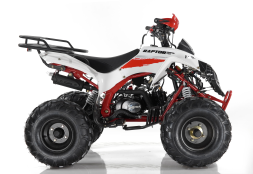 Квадроцикл MOTAX ATV Raptor Super LUX 125 cc, фото 7 Квадроцикл MOTAX ATV Raptor Super LUX 125 cc, фото 7