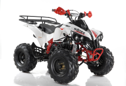 Квадроцикл MOTAX ATV Raptor Super LUX 125 cc, фото 6 Квадроцикл MOTAX ATV Raptor Super LUX 125 cc, фото 6